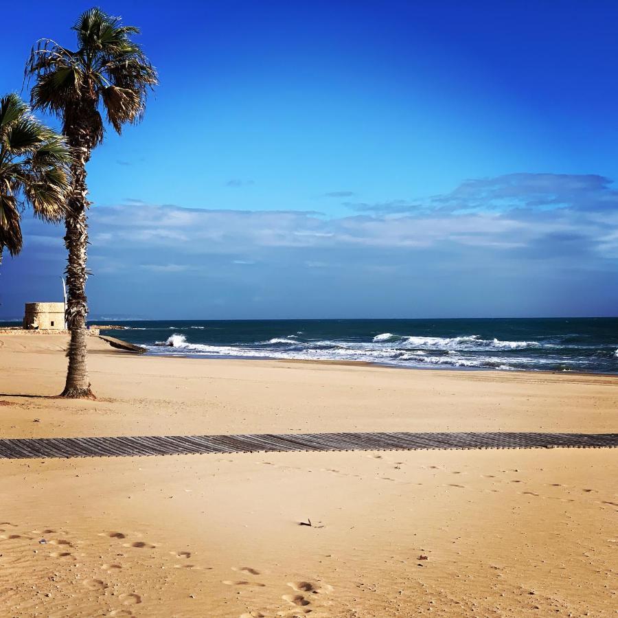 La Mata.Torrevieja.New Apartment 1M To The Beach) 拉马他 外观 照片